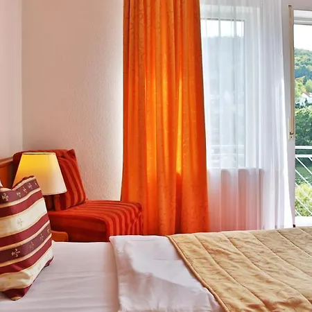 Hotel Neckarlux Heidelberg